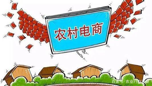 政策加持!农村电商下一站:产业化!