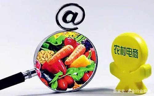 政策加持!农村电商下一站:产业化!