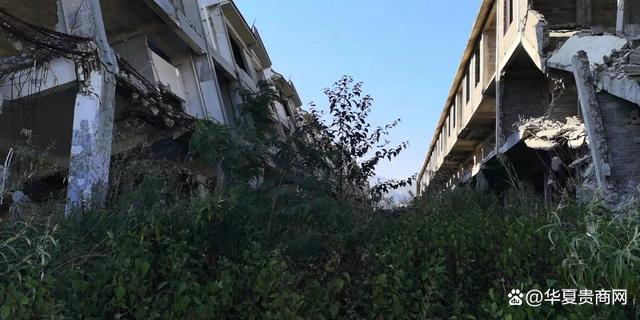 建设用地无规划许遭拆除 冰清茶叶:保山营商环境十分糟糕