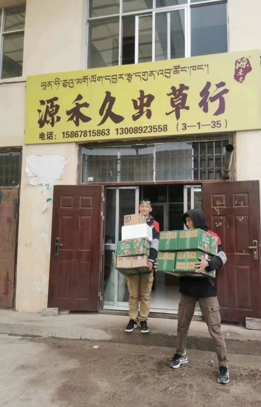 新鲜的野生虫草可以吃吗?源禾久虫草庄总经理戴红意告诉你